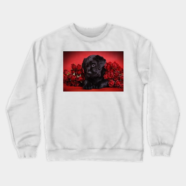 Labrador puppy with red roses Crewneck Sweatshirt by PetsArt